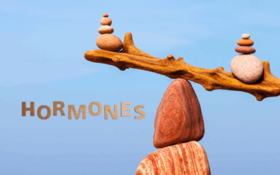 Progesteronmangel & Östrogendominanz – Wenn Hormone aus dem Gleichgewicht geraten
