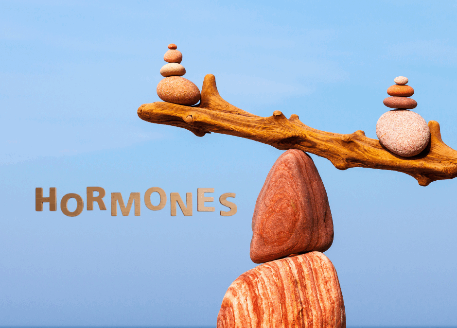 Progesteronmangel & Östrogendominanz – Wenn Hormone aus dem Gleichgewicht geraten