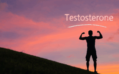Testosteron, Muskeln und Männlichkeit – Mythen und Wahrheiten